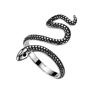 Otevřený prsten z nerezové oceli - motiv hada, stříbrná barva s patinou - Velikost: 67